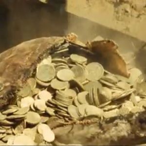 Meet your Posher, Kamarin